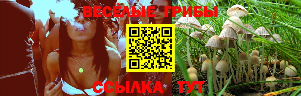 Галлюциногенные грибы Psilocybine cubensis Анжеро-Судженск