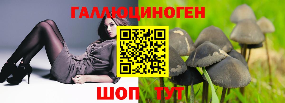 Псилоцибиновые грибы прущие грибы  Вход с VPN  Анжеро-Судженск 