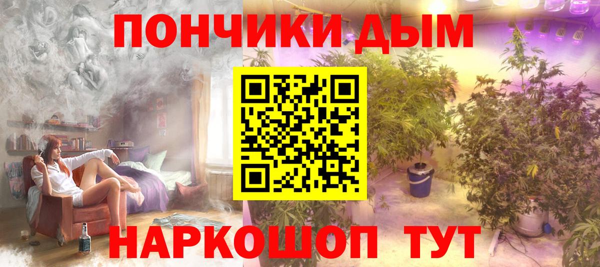 Бошки Шишки план Анжеро-Судженск